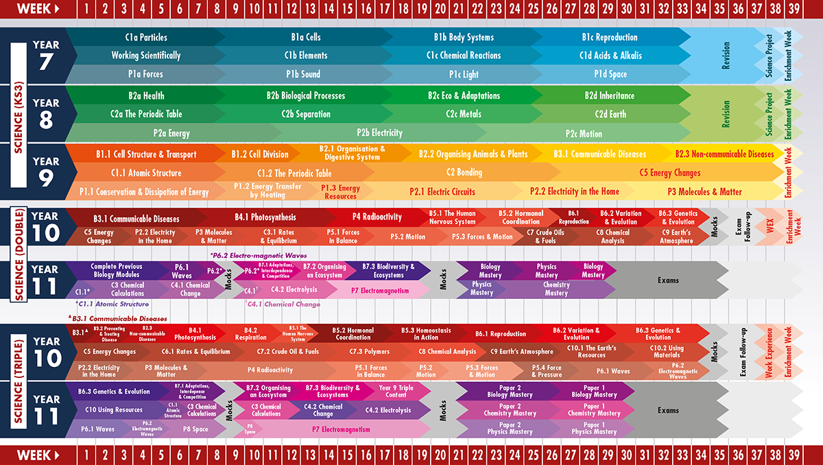 science curriculum plan