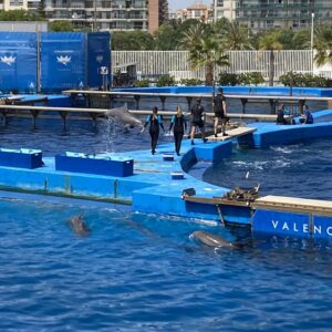 Europe's Biggest Oceanographic Aquarium