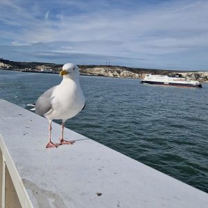 Crossing the Channel to Calais